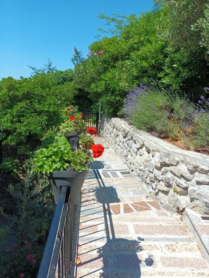 Sea & Honey Krk Town Exterior foto